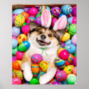 Recherche de chiots mignons posters Chien