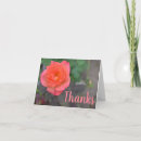 Recherche de corail photographie Rose
