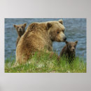 Recherche de câlin posters Ours