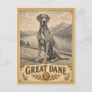 Recherche de grand chien cartes postales Pour amateur de chiens
