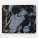 Recherche de border collie tapis souris Animal familier