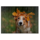 Recherche de rouge sur le planches à découper Dog