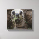 Recherche de espèce marine art Faune