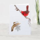 Recherche de vol plané vœux cartes Colibri