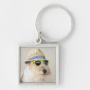 Recherche de fox terriers porteclés Chiot