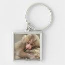 Recherche de macaque porteclés Animal