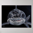 Recherche de grand requin blanc posters Océan