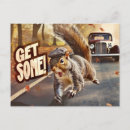 Recherche de squirrel cartes postales Drôle