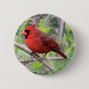 Recherche de oiseaux de jardin badges Faune
