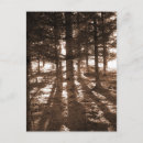 Recherche de rayon de lumière cartes postales Rayons