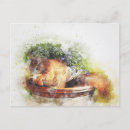 Recherche de poli cartes postales Mignon