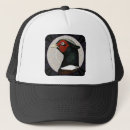 Recherche de plume casquettes Volaille