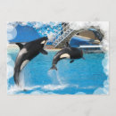 Recherche de épaulards cartes postales Baleines