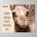Recherche de camel posters Chameau