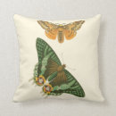 Recherche de peinture de papillon coussins Nature