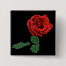 Recherche de rose rouge simple badges Pour tous