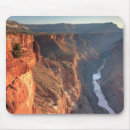Recherche de majestueux tapis souris Photographie