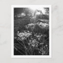 Recherche de glacial photographie Gel