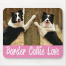 Recherche de chiot border collie tapis souris Chiots