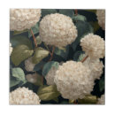 Recherche de tuile de porcelaine carreaux Cuisine