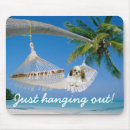 Recherche de shih tapis souris Chiot