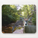 Recherche de cerf commun tapis souris Nature