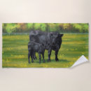 Recherche de angus Animaux de ferme