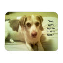 Recherche de drôles de chien magnets Beagle