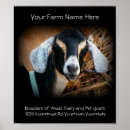 Recherche de goat posters Ferme