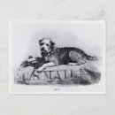 Recherche de mail cartes postales Chien
