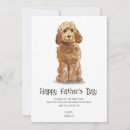 Recherche de labradoodle Fête des pères