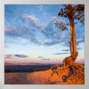 Recherche de consommation posters Nature