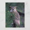 Recherche de duc cartes postales Regarder