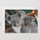 Recherche de ours koala mignon vœux cartes animal australien