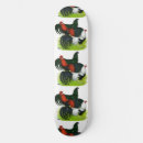 Recherche de coq skateboards Oiseau