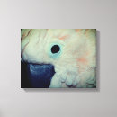 Recherche de perroquet toiles Animal