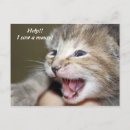 Recherche de souris cartes postales Doux
