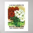 Recherche de géranium art Jardin