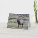 Recherche de élan vœux cartes Colorado