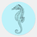 Recherche de seahorse autocollants Sous la mer