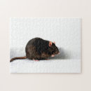 Recherche de rattie puzzles Cute