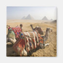 Recherche de sept magnets Antique