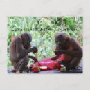 Recherche de associations cartes postales Animaux
