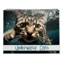 Recherche de cat photographie Chat