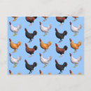 Recherche de coq noir cartes postales Rouge