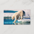 Recherche de polaire cartes visite Blanc