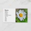 Recherche de marguerite cartes visite Beauté