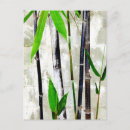 Recherche de bambou cartes postales Plante