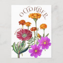 Recherche de fleur cosmo cartes postales Pour elle