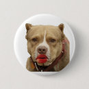 Recherche de palin badges Président